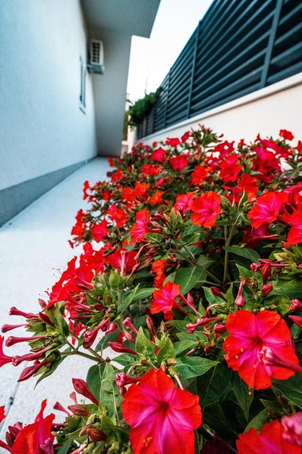 Villa Margita Split Exteriér fotografie
