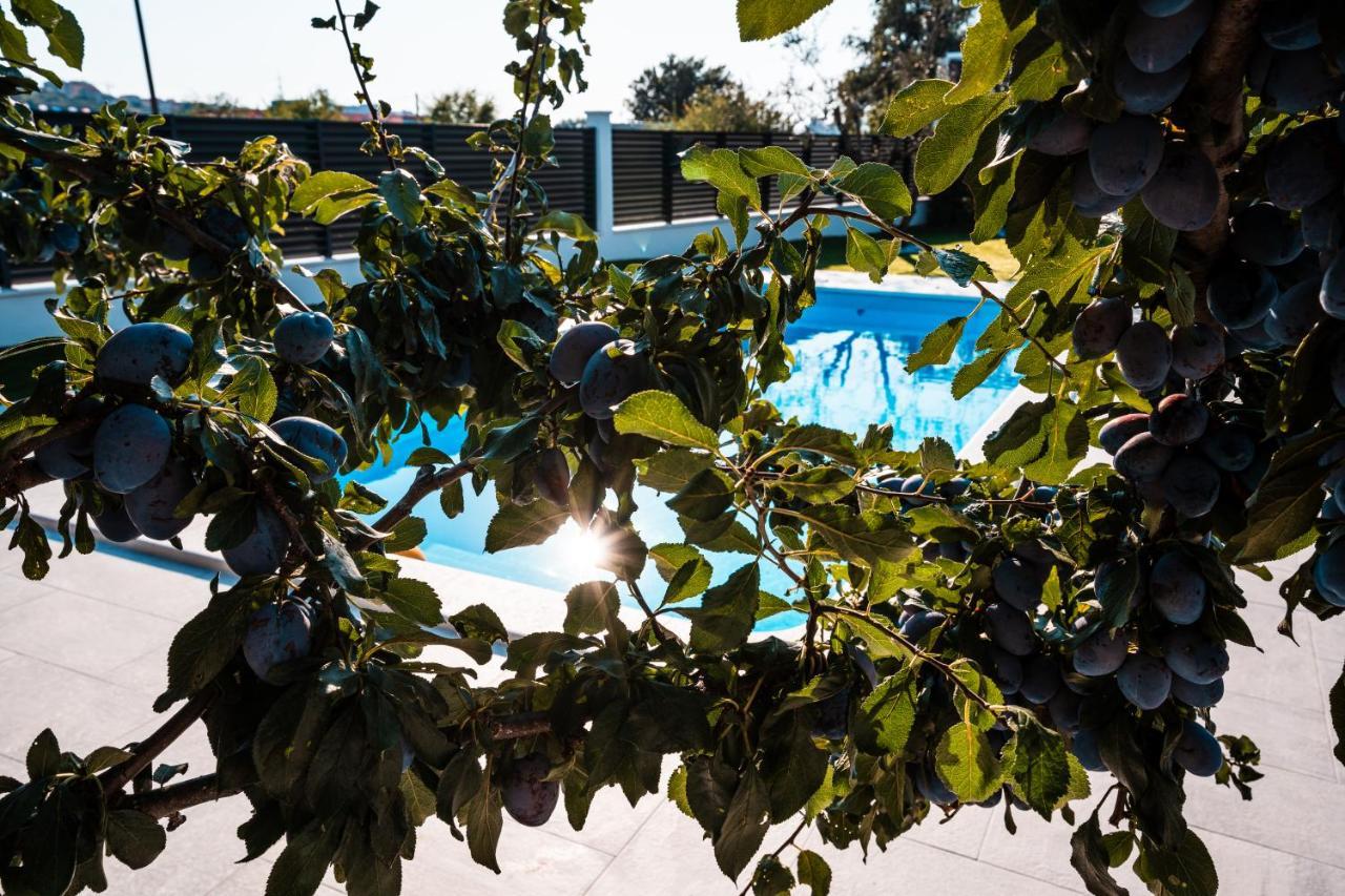 Villa Margita Split Exteriér fotografie