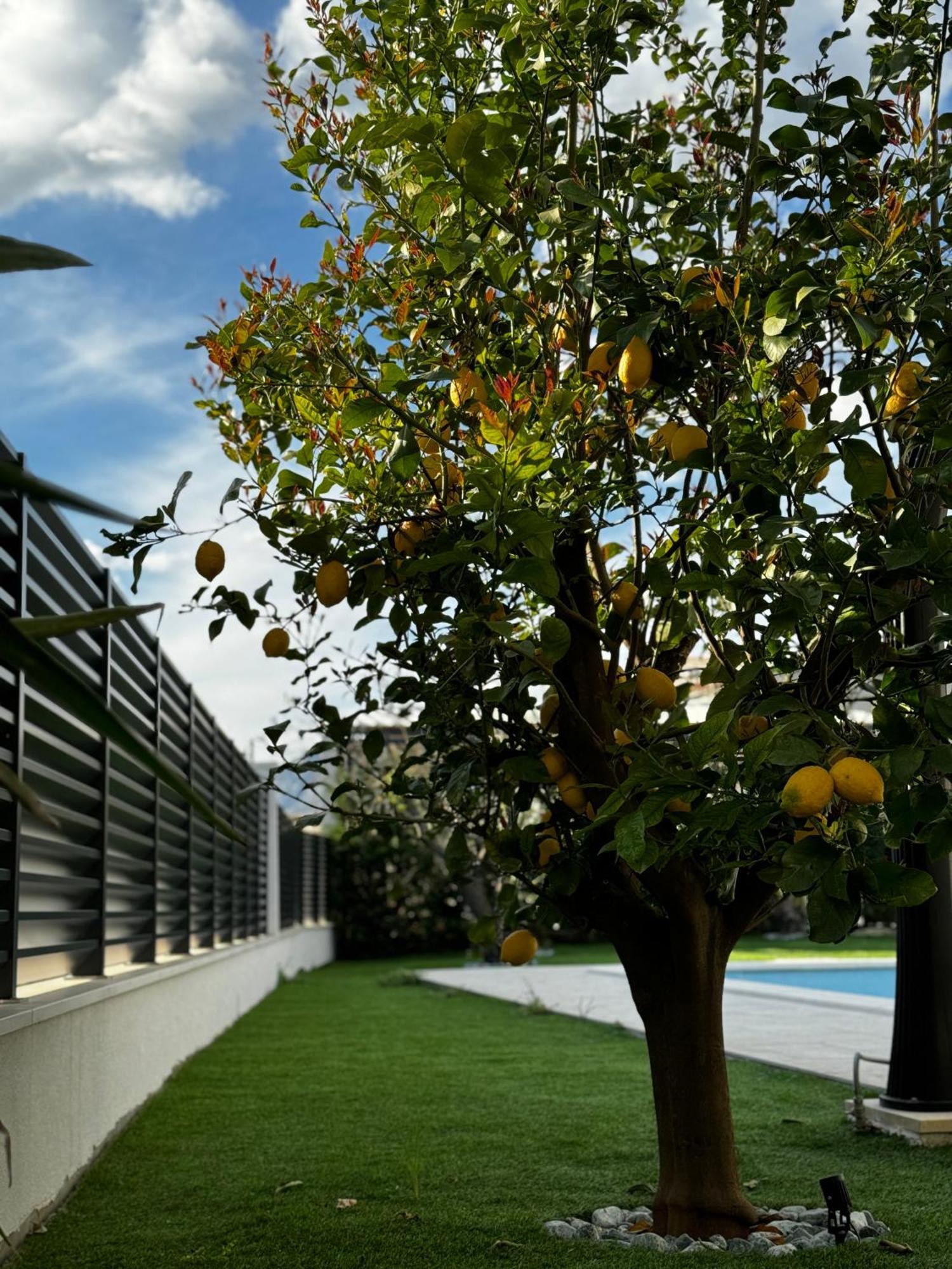 Villa Margita Split Exteriér fotografie
